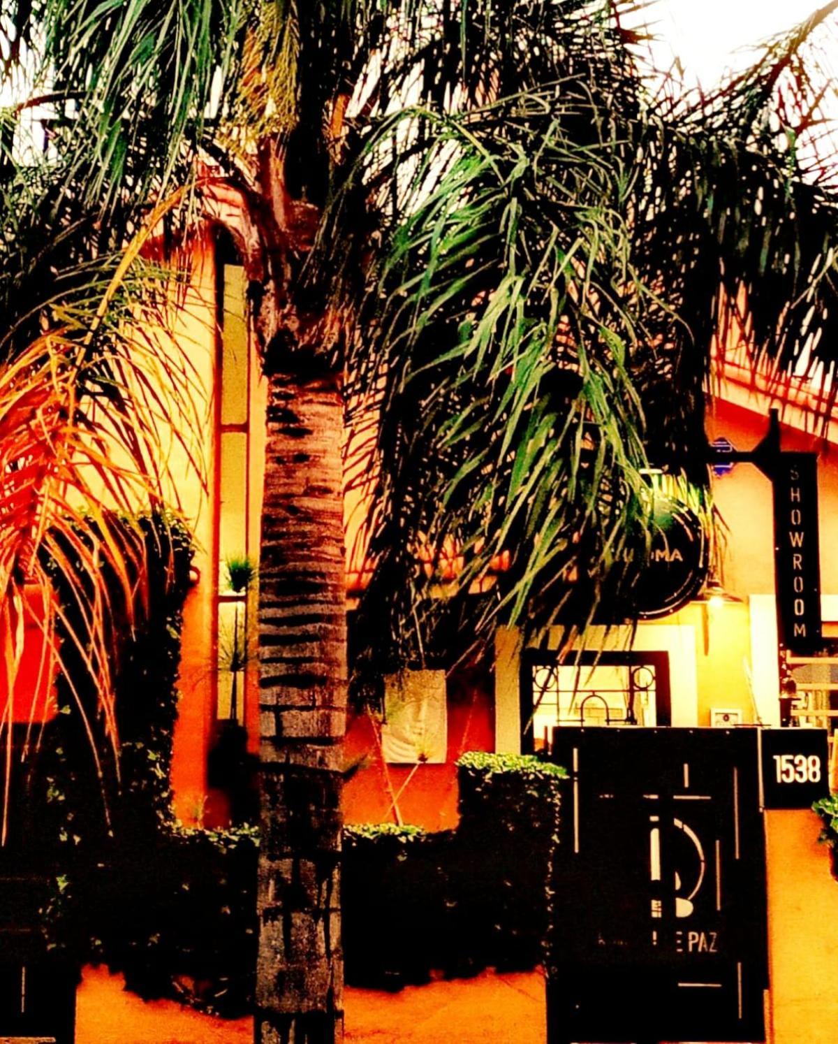 Rincon De Paz Apart & Loft Suite Boutique - Adults Only Вілья-Карлос-Пас Екстер'єр фото