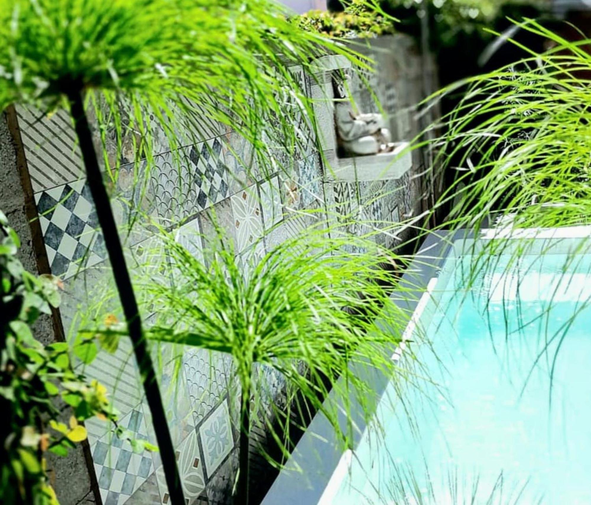 Rincon De Paz Apart & Loft Suite Boutique - Adults Only Вілья-Карлос-Пас Екстер'єр фото